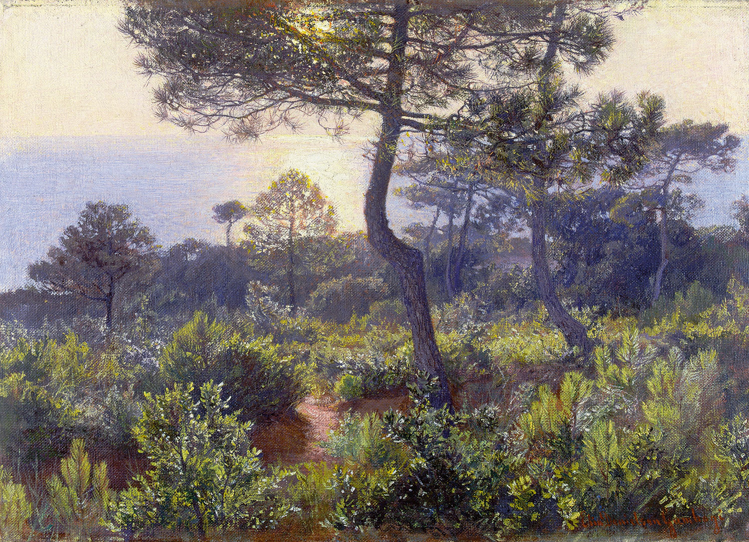 Diseño de jardines con esencia mediterránea