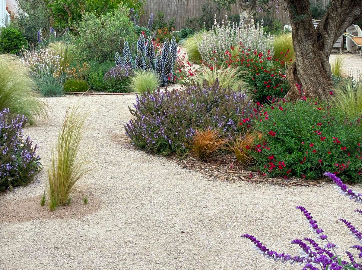 Jardín mediterráneo en Ibiza